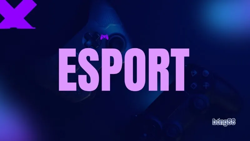 Chơi bong88 eSport đừng chỉ bắt kèo cả trận Chơi bong88 eSport đừng chỉ bắt kèo cả trận